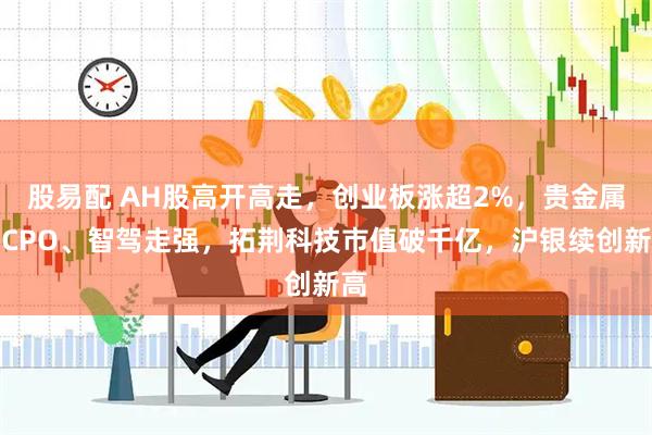 股易配 AH股高开高走，创业板涨超2%，贵金属、CPO、智驾走强，拓荆科技市值破千亿，沪银续创新高