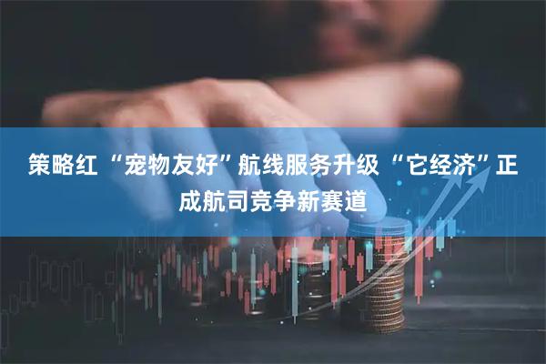 策略红 “宠物友好”航线服务升级 “它经济”正成航司竞争新赛道